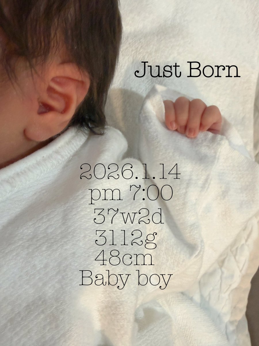 __renoo0's tweet photo. ご報告です☺︎
この度1月14日に元気な男の子を
出産致しました👶🏼🤍

母子ともに健康です( ´ ▽ ` )ﾉ

ワンピ対戦はできなくなりましたが
ツイートと対戦動画など見ながら
過ごしています〜🙌

スーパー母ちゃん目指して
頑張ります☺️✨️ https://t.co/simbrsDiVB