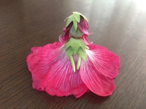 cutecorestar's tweet image. flower doll