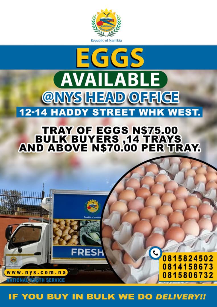 NYSNamibia's tweet image. 🥚 Eggs for Sale at NYS Head Office – Windhoek! 🥚
Fresh, affordable eggs now available at the National Youth Service Head Office in Windhoek.
Perfect for families, traders, and bulk buyers.
📍 Windhoek
⏳ While stock lasts
👉 From our farm to your table!
#NYSEggs #FreshEggs #