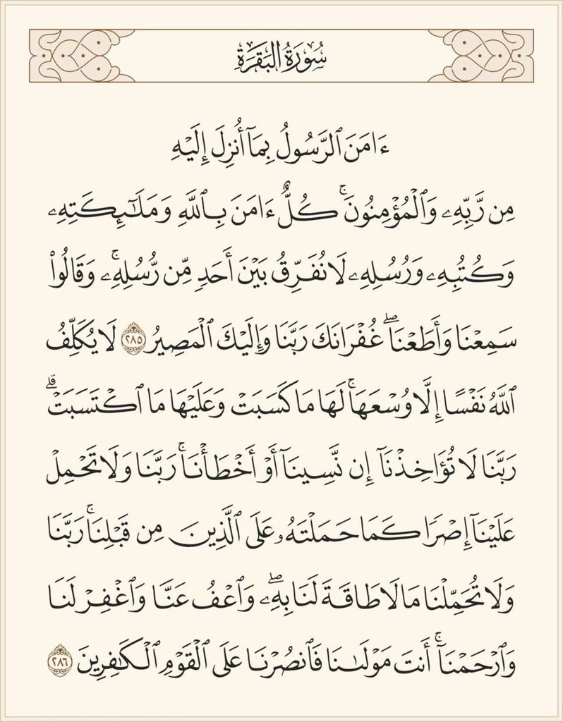 يوب🌊 tweet media