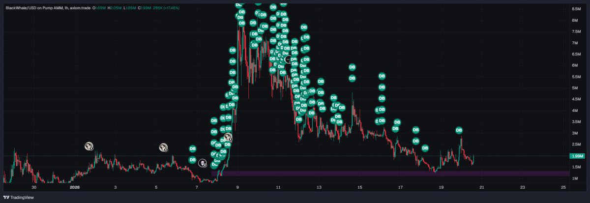 MindOvMney's tweet photo. Just a great job by the whole team.
Keep holding — just imagine missing the train to a $100M market cap.

They announced it — you’ll think back to us.

What u think ? @Blaaackguy $BlackWhale
#Solana
#PumpFun
#SolanaMeme
#CryptoDegens
#SolanaGem https://t.co/PCqZVhWwGk