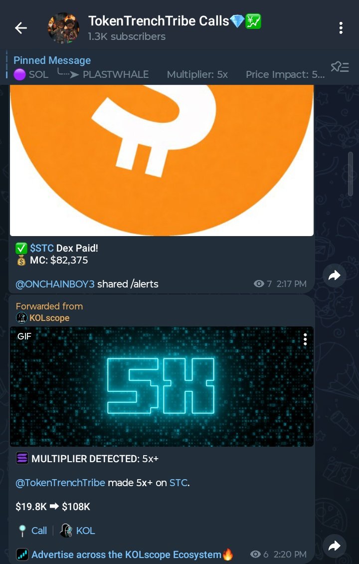 Shitcoin (STC) is a Solana meme token that owns the 