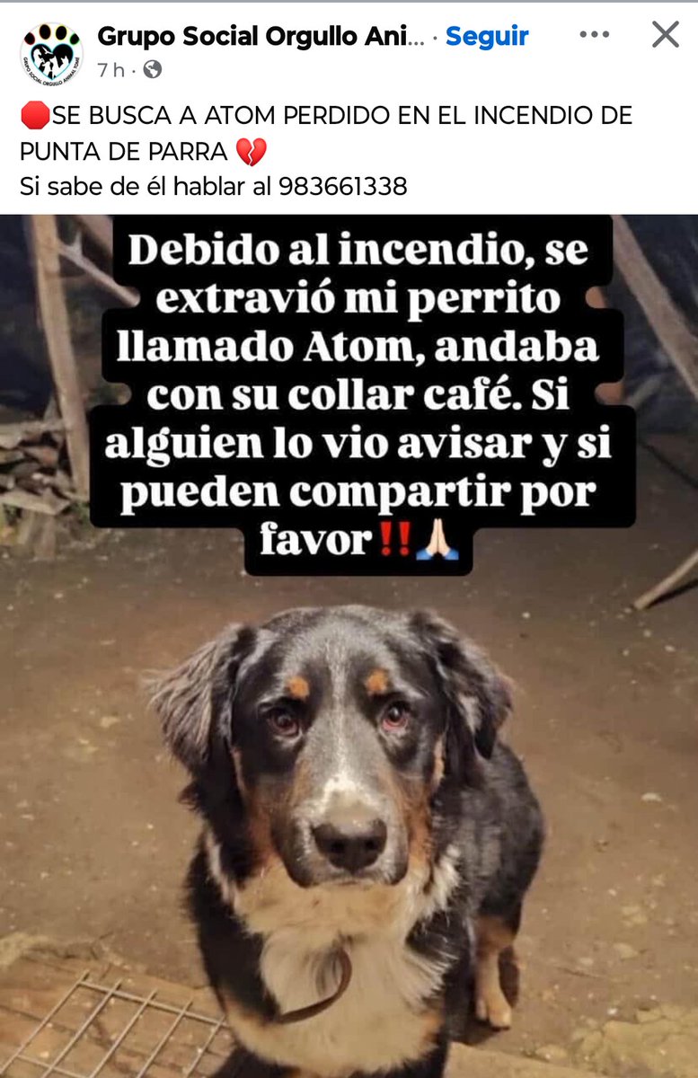 #Lirquén #Penco #Concepción #Incendios #Tomé #PuntadeParra