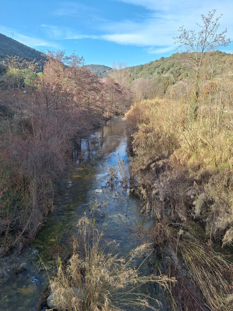 The river #Desix just before it joins the river #Agly in the #Fenouilledes. I kayaked down this river many years ago - won't be doing that again.