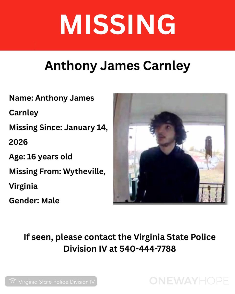 Missing and Searching tweet media