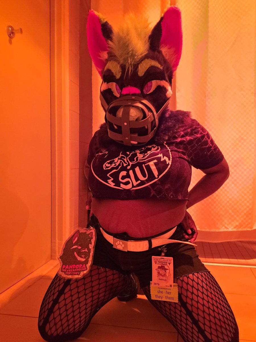 GushyStarsAD's tweet photo. @GushyStarsAD 

This Freakhound had tons of fun at ANE🤠😏 https://t.co/QQh5NZn0as
