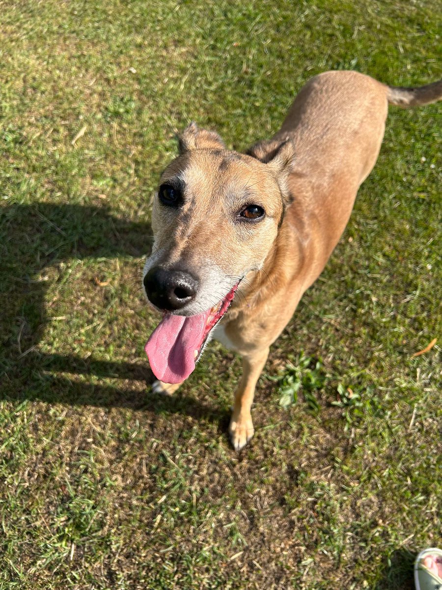 Net Slamders tweet media