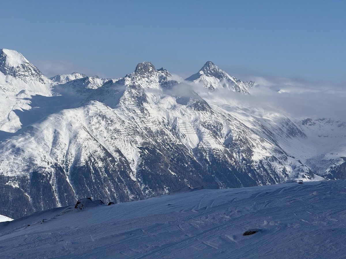 Tiago Sousa tweet media