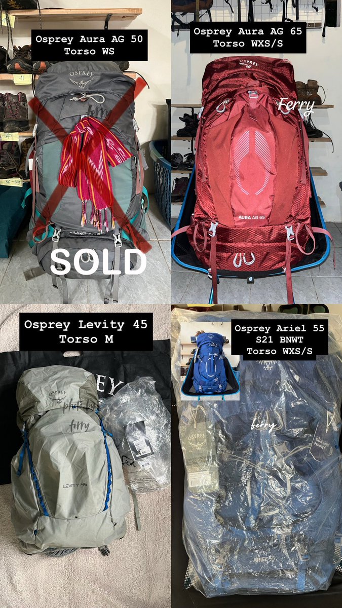 F e r r y tweet media