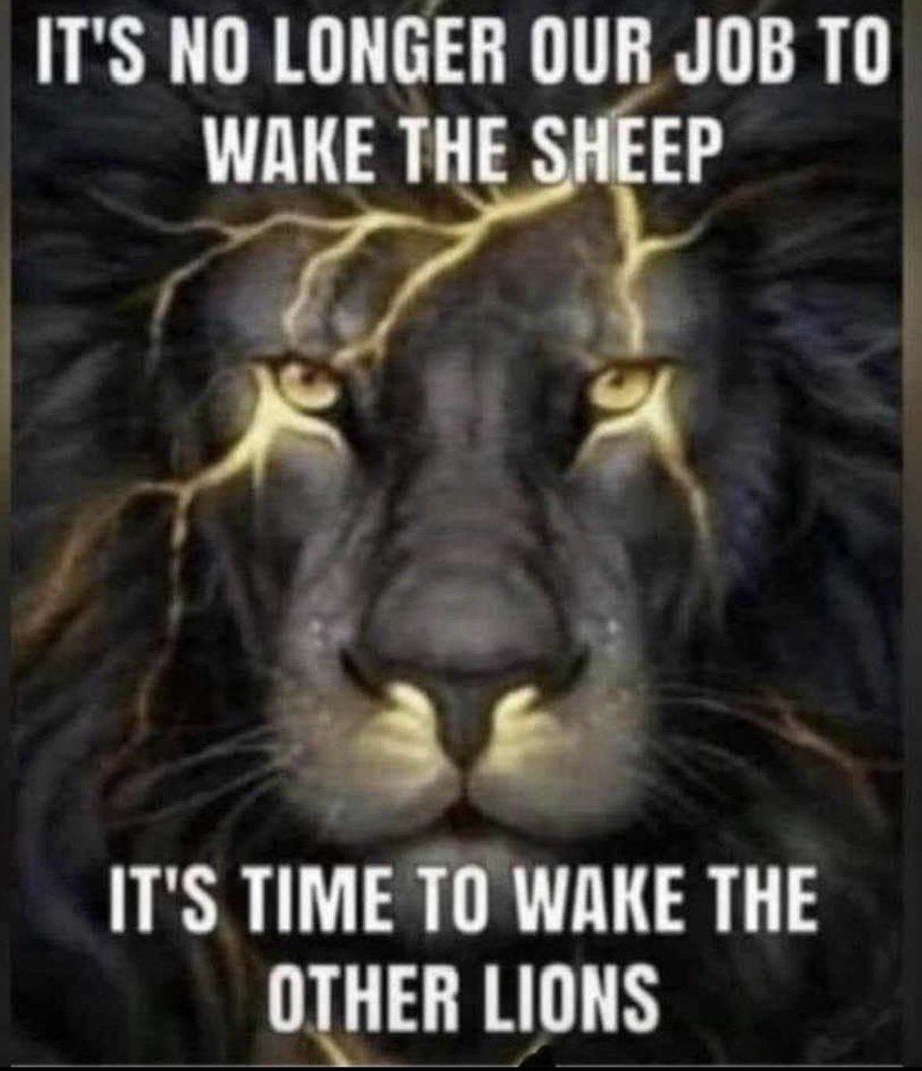 🇺🇸Sitting on the sideline is not an option. Wake up and raise up.🇺🇸