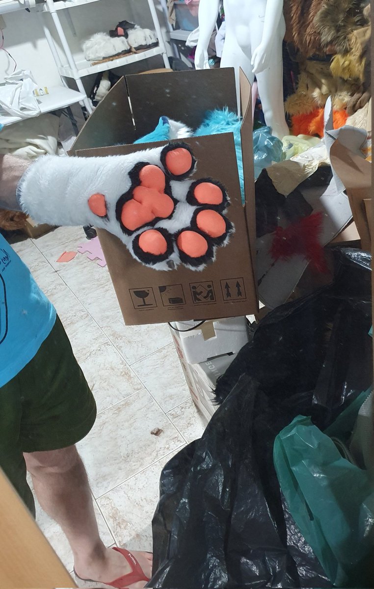 Furry Machine 🇧🇷 tweet media