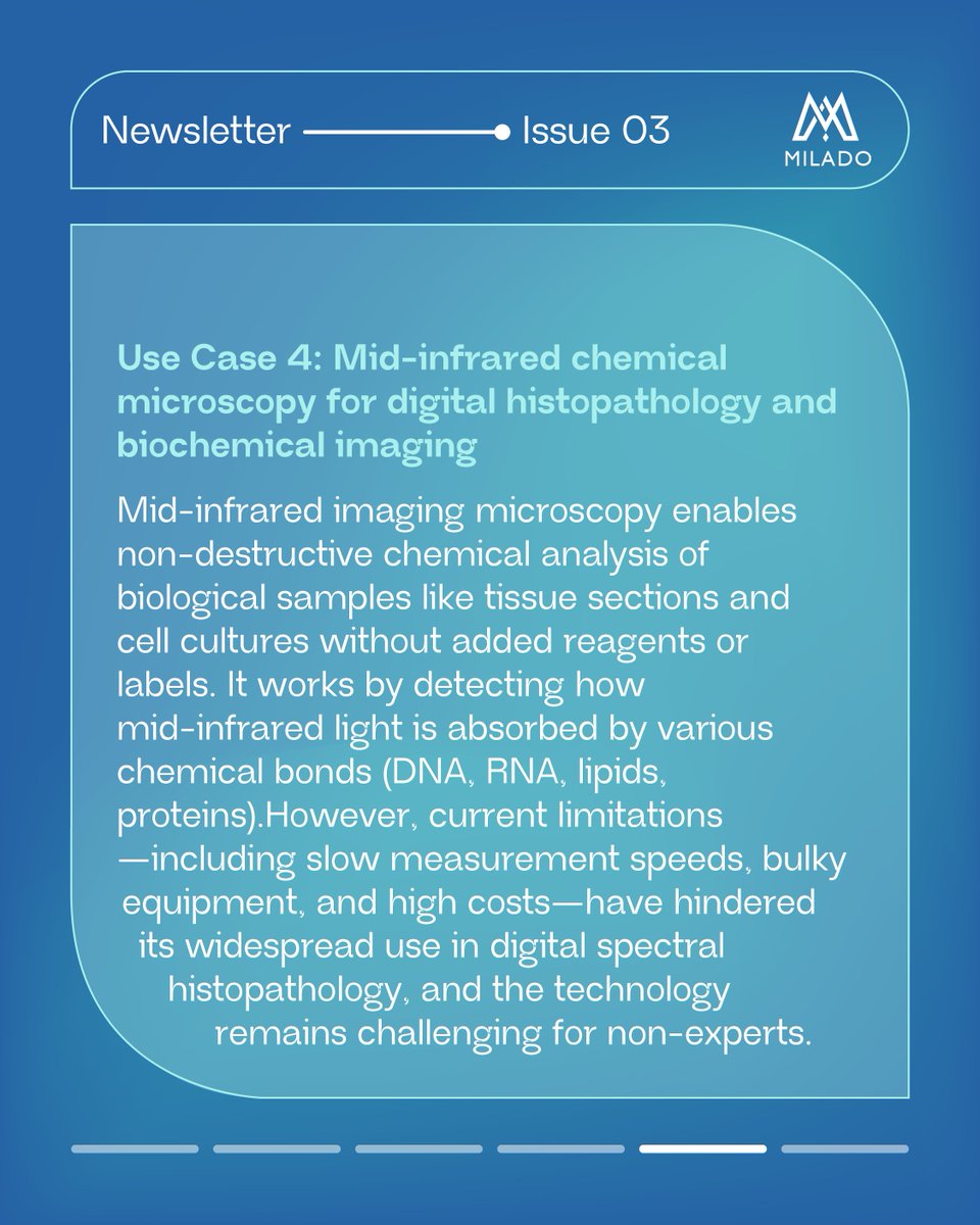 MILADO_HE tweet media