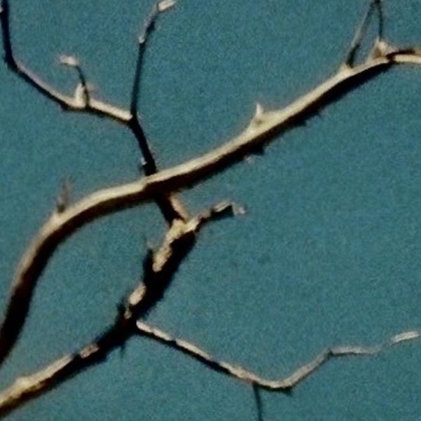 skate6498's tweet photo. 1/21 release
tight/distance

https://t.co/rwaeIWXPPS https://t.co/ICaTW2qLRN