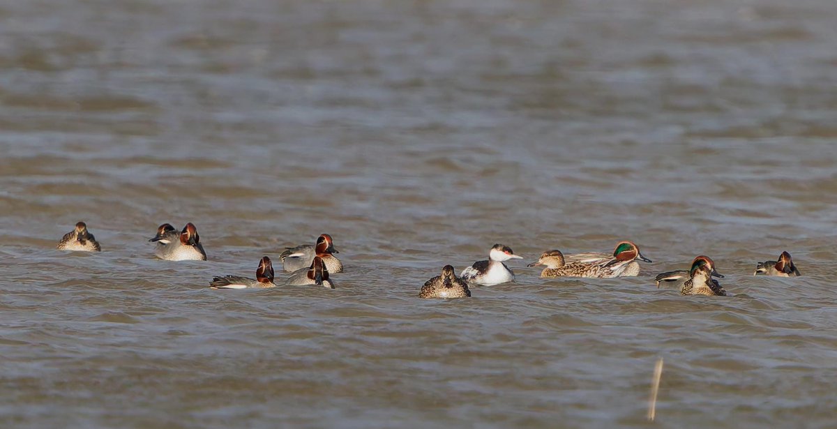 Lonsdale tweet media