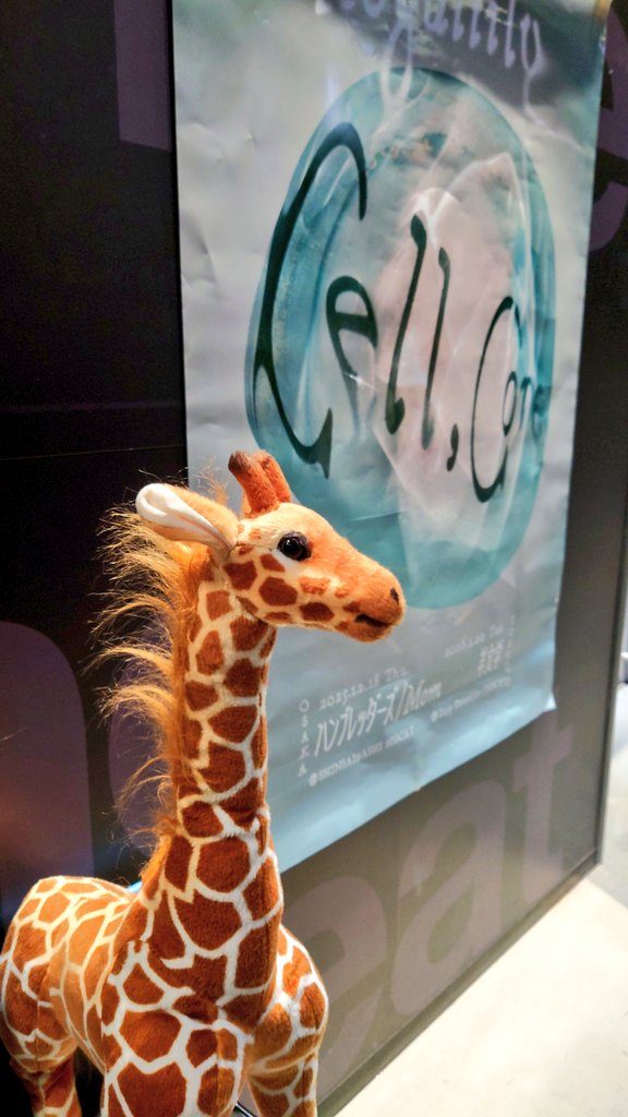 ryo1_kagi's tweet photo. 今日はお台場でリーガルリリーと羊文学の『cell,core 2025 to 2026』に行ってきました！

大好きな2バンドの特別なツーマン！
うれしすぎて楽しすぎてあっという間だった！

また一緒にやってほしいな！ https://t.co/8hs92tKtl6