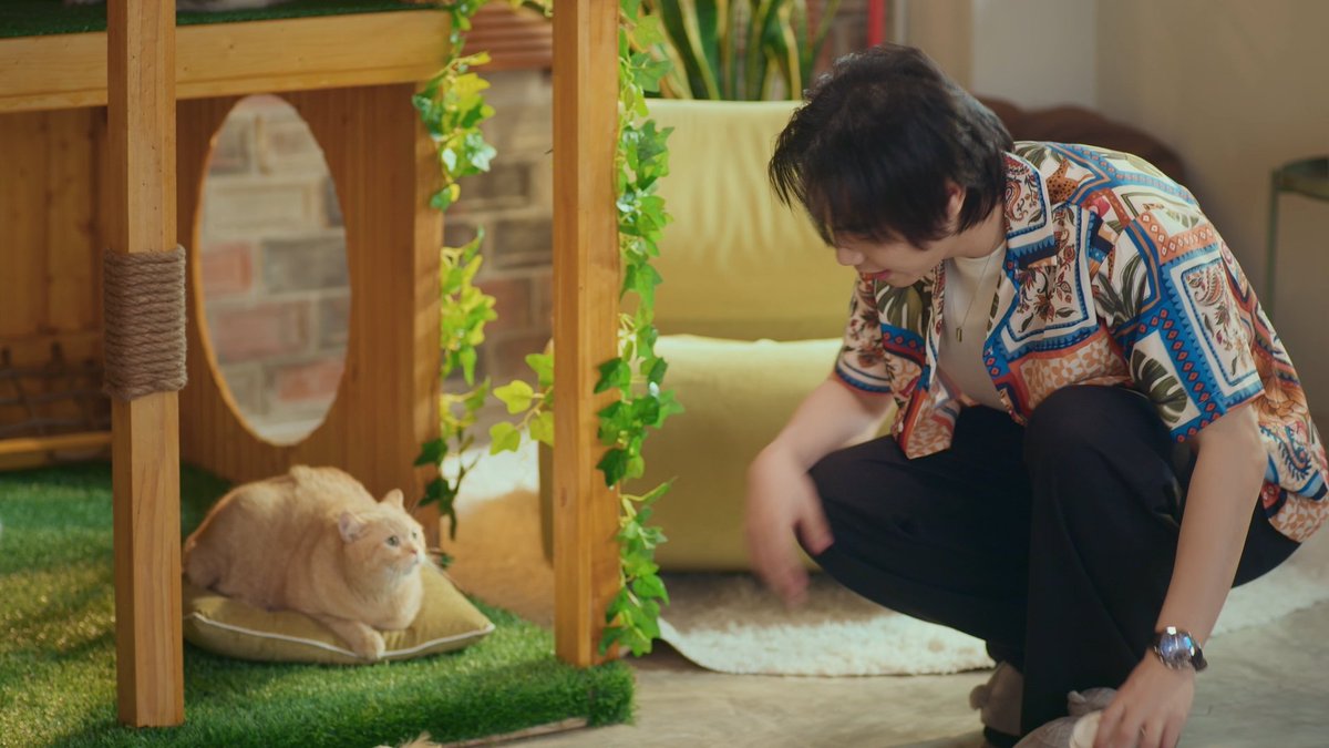 CatForCash's tweet image. อุนทาสเบอร์ 1 แอดเพื่อนไม่ติดมาฉามเดือนละ วันนี้พี่ไทเกอร์จะแอดเพื่อนติดมั้ยฮับเนี่ยยย👀🐱

#CatForCashEP1
@Firstkpp