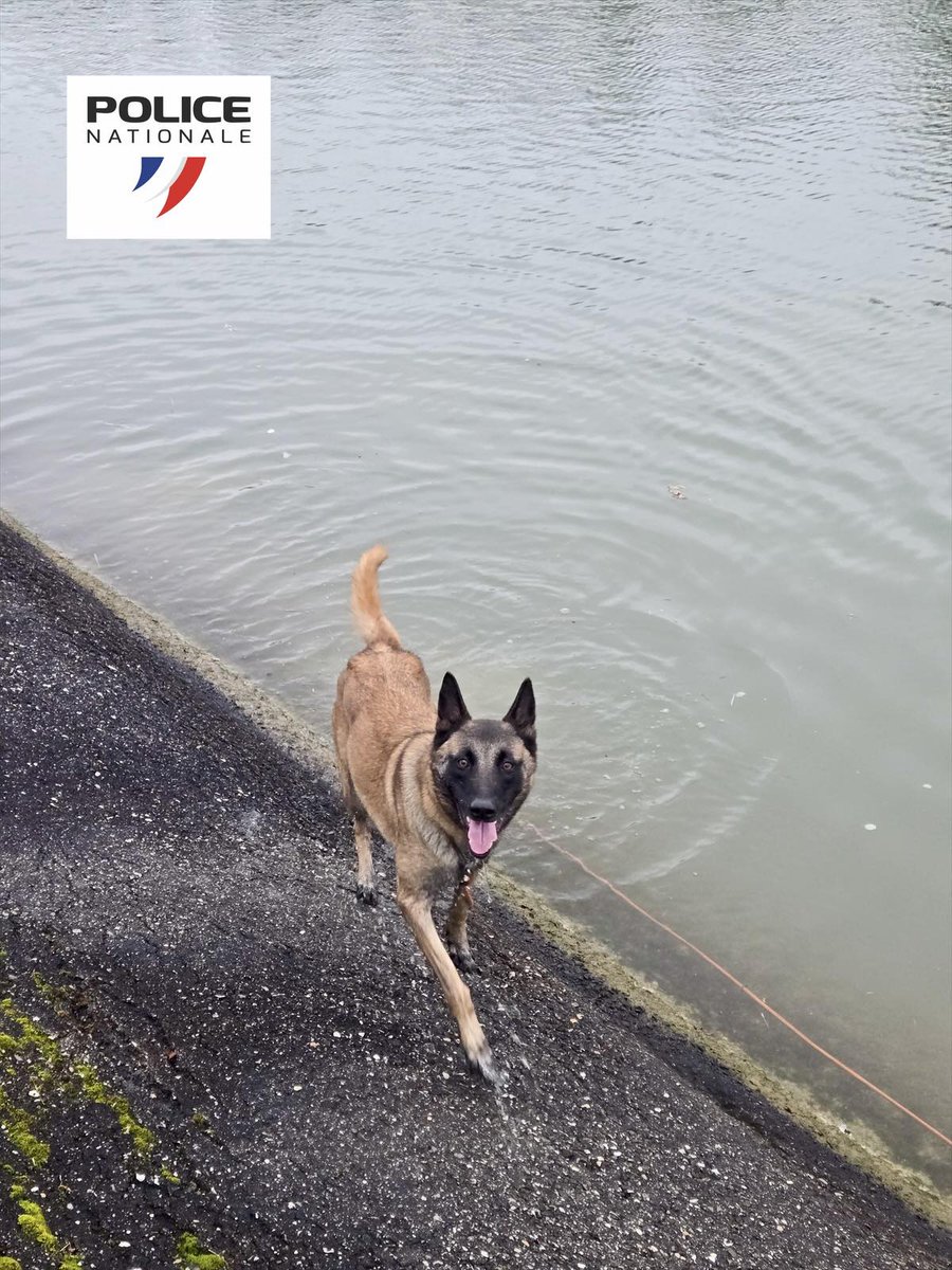 Police nationale du Haut-Rhin tweet media