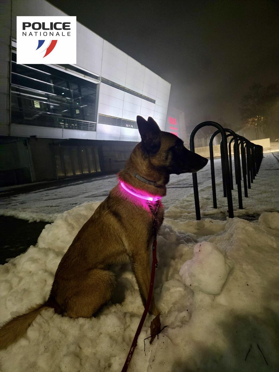 Police nationale du Haut-Rhin tweet media
