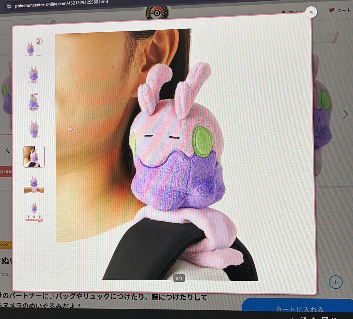 ぽこあポケモン予約のついでになんか買おうかなと思ってポケモン通販見