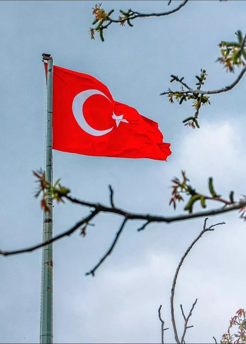 Kenan Baştuğ tweet media