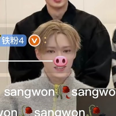 lorelei7073's tweet image. 🐽