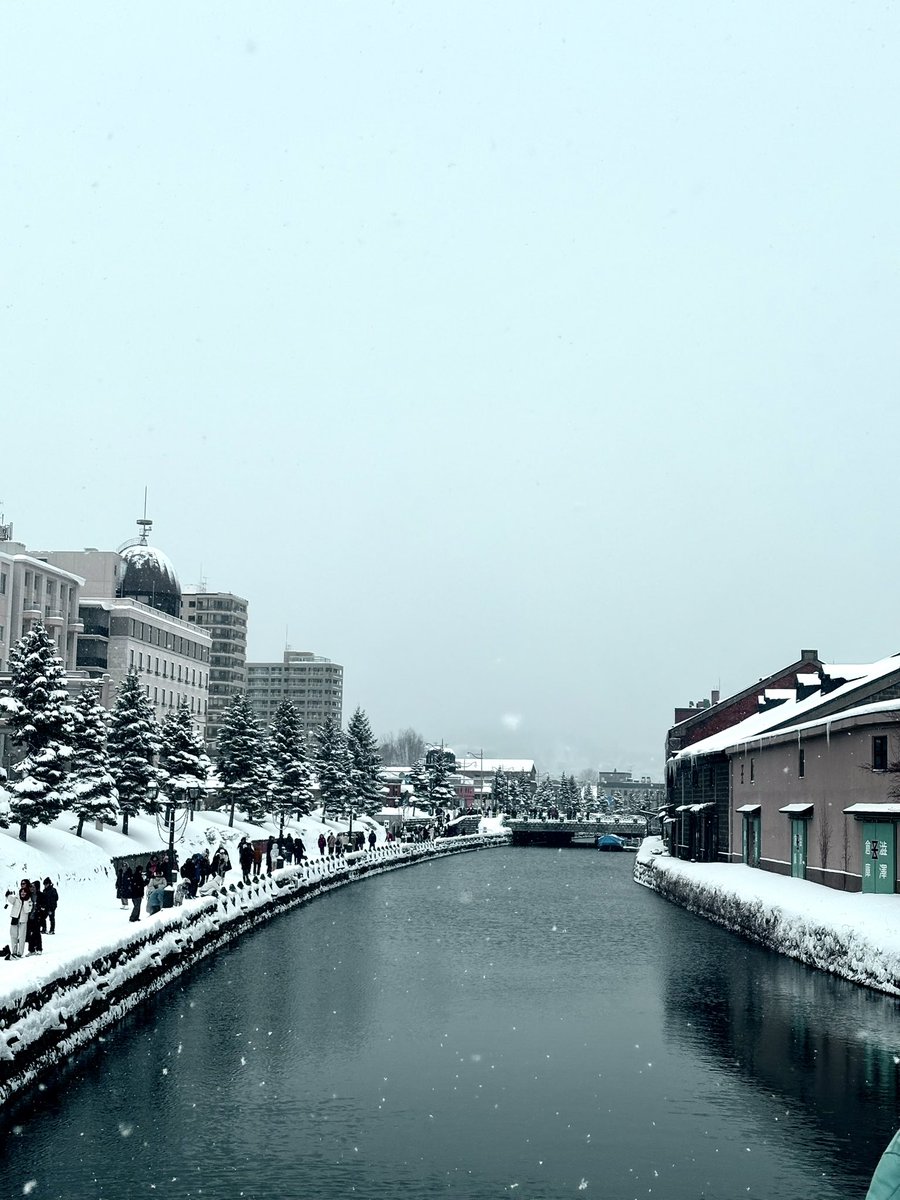 Alexandra Hobbs tweet media