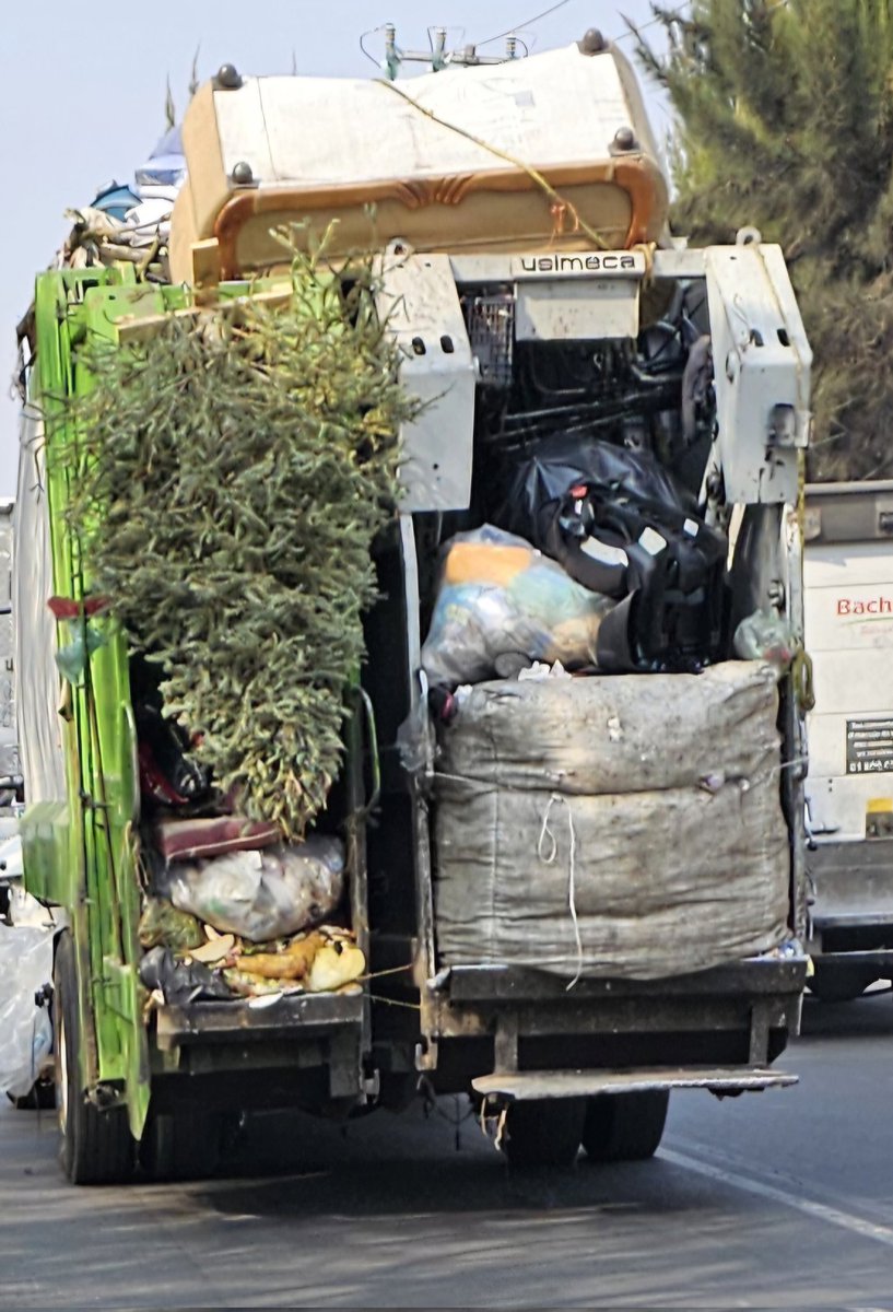 iztacalconews's tweet photo. Buen día...recuerda que para el "pino de navidad" hay 2 lugares en Iztacalco a donde lo puedes llevar y será convertido en #composta .
No lo tires en la calle.
• Calle Girasol y Espejo de Agua, Col. Infonavit Iztacalco
• Av. Té s/n, junto a la Bandera de la Alcaldía https://t.co/hglsAcWbsS