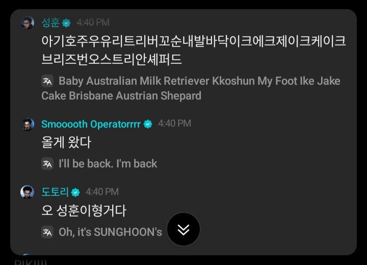 enhypenupdates's tweet image. [ #엔하이픈’s Reply ] 260120

🦊: Kekekeke
🐈‍⬛: Baby Australia milk golden retriever Layla dog genius composer hip hop boy Sim Jaeyun
🦊: Oh my..
🐧: Baby Australia milk retriever dog's paw smell Ikeu Ekeu Jake Cake Brisbane Australian Shepherd 
🐈‍⬛: Here it comes
🦊: Oh, it's…