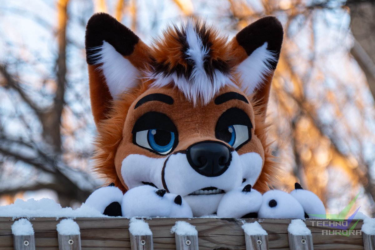 Whatcha doin’ over there? 👀 

📷: <a href="/TechnoAurora_/">Technooooo</a> 
🪡: <a href="/AlphaDogsStudio/">Alpha Dogs</a>