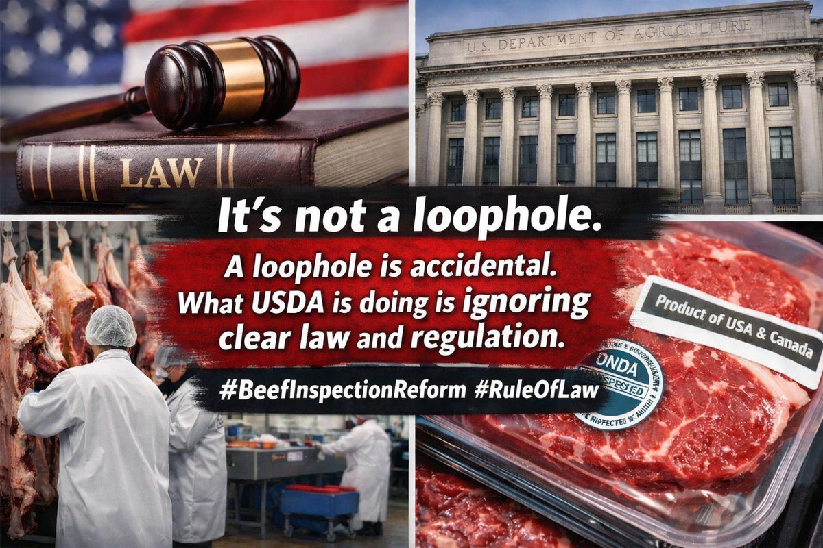 Beef Inspection Reform tweet media