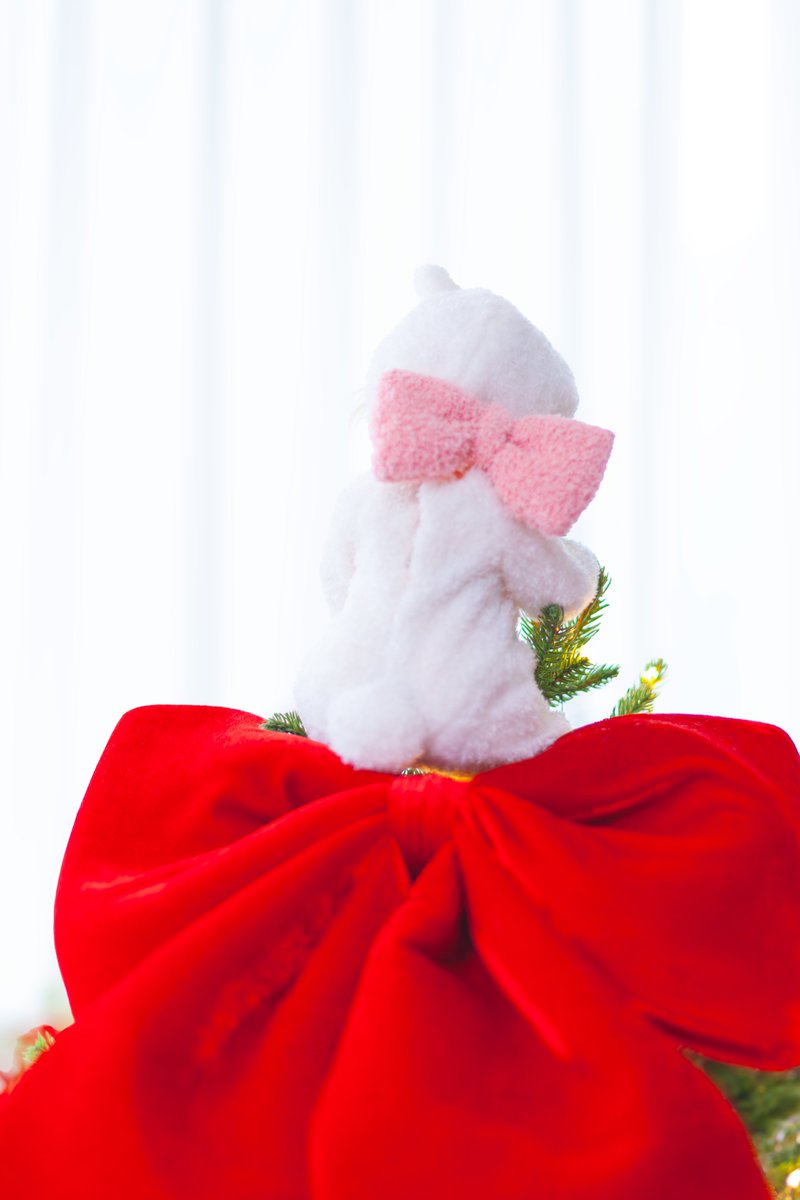 보리🍤 tweet media