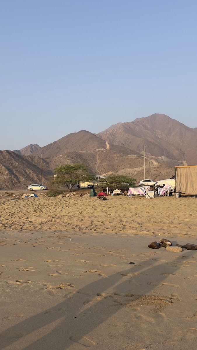 uragonallen's tweet photo. Camping season in UAE . ⛺️ 🌳 https://t.co/weUwbb0aTm