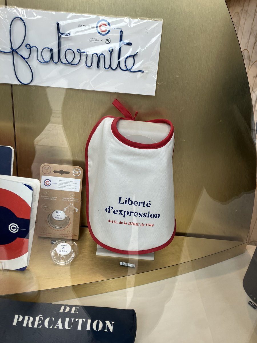 que t’arrive t il bébé tu n’as pas touché à ton biberon conseil constitutionnel