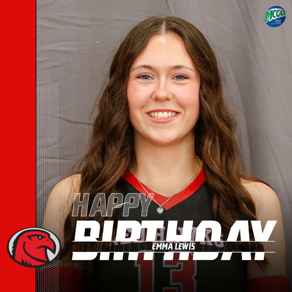 RedHawks_Volleyball tweet media