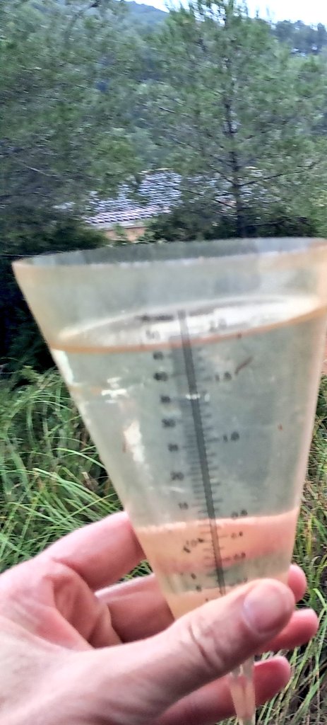 Vakapiupiuu's tweet image. #Garraf Occidental 46.2 mm del dia 17 al 20 #gener2026 14 h una #llevantada moderada i sense estralls, ben filtrada, tot molt humit!