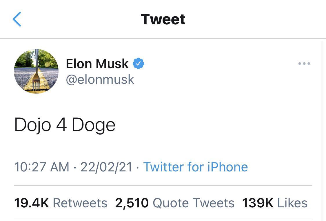 DogeDesigner tweet media