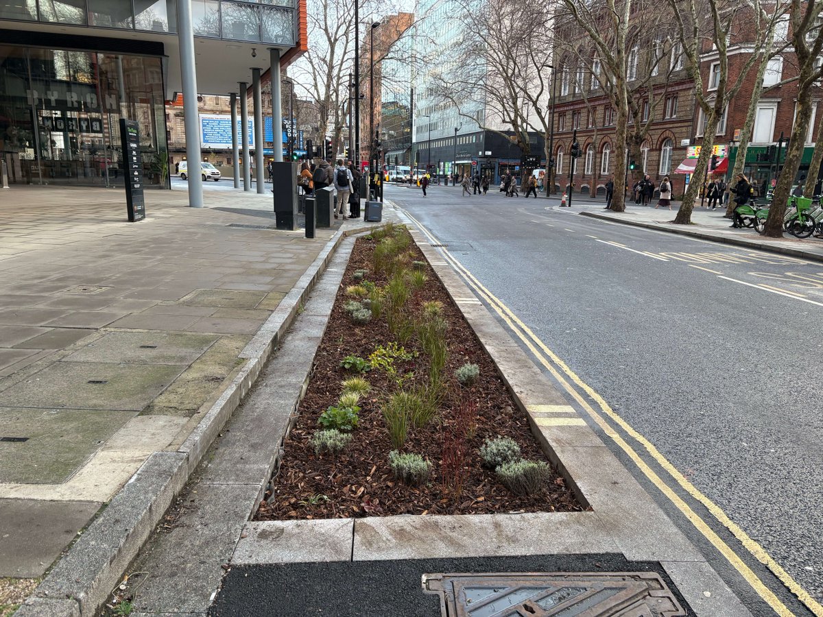 Meristem Design tweet media