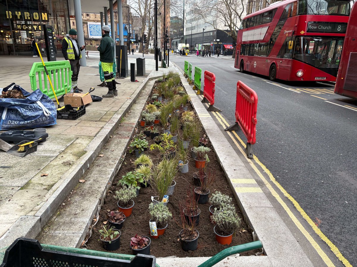 Meristem Design tweet media