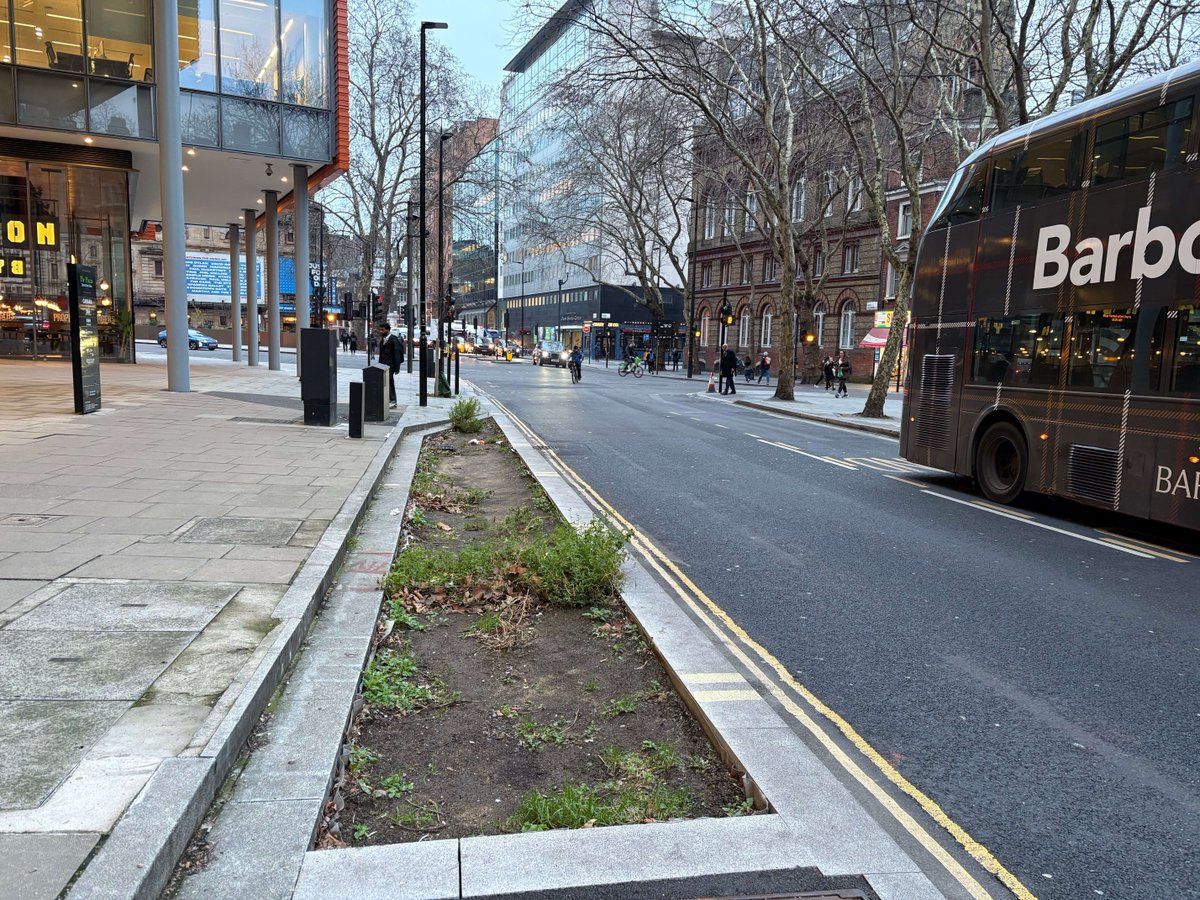 Meristem Design tweet media