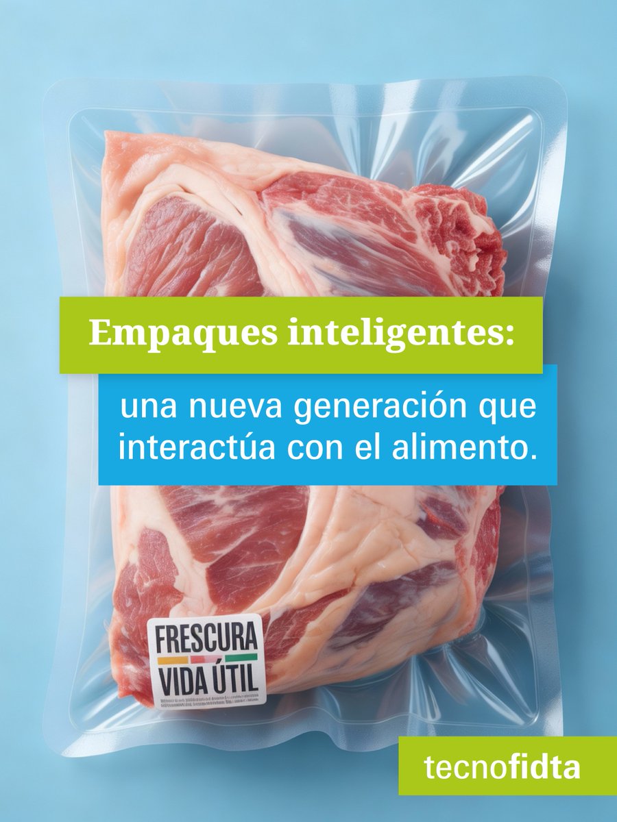 Tecno Fidta tweet media