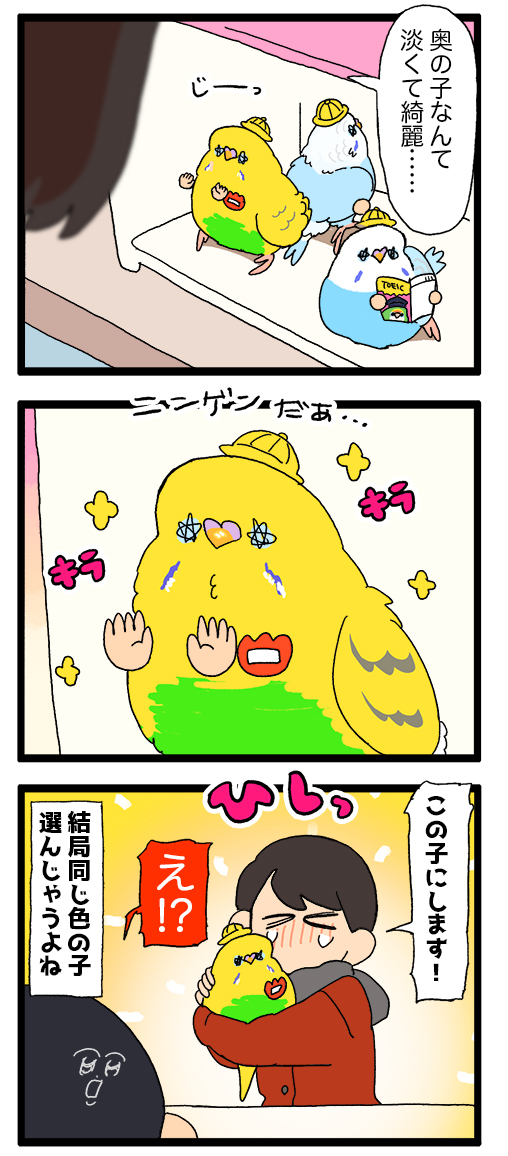 先代と違う羽色の子をお迎えしようとするけど、ショップに行ったら結局同じ色の子を選んじゃう…よね🪶
2243 #えるポピの絵日記かくところ