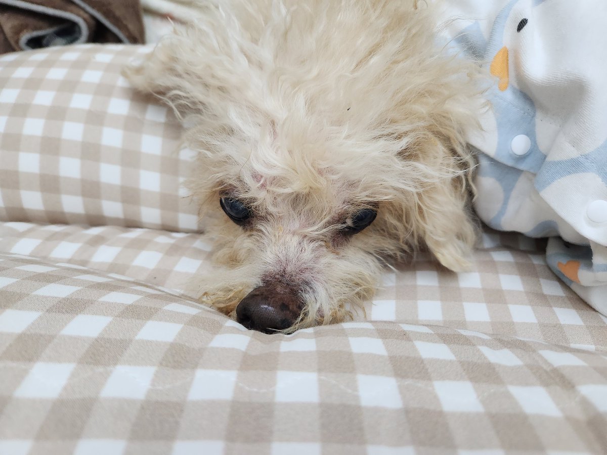 오줌싸러 나가는 길에..