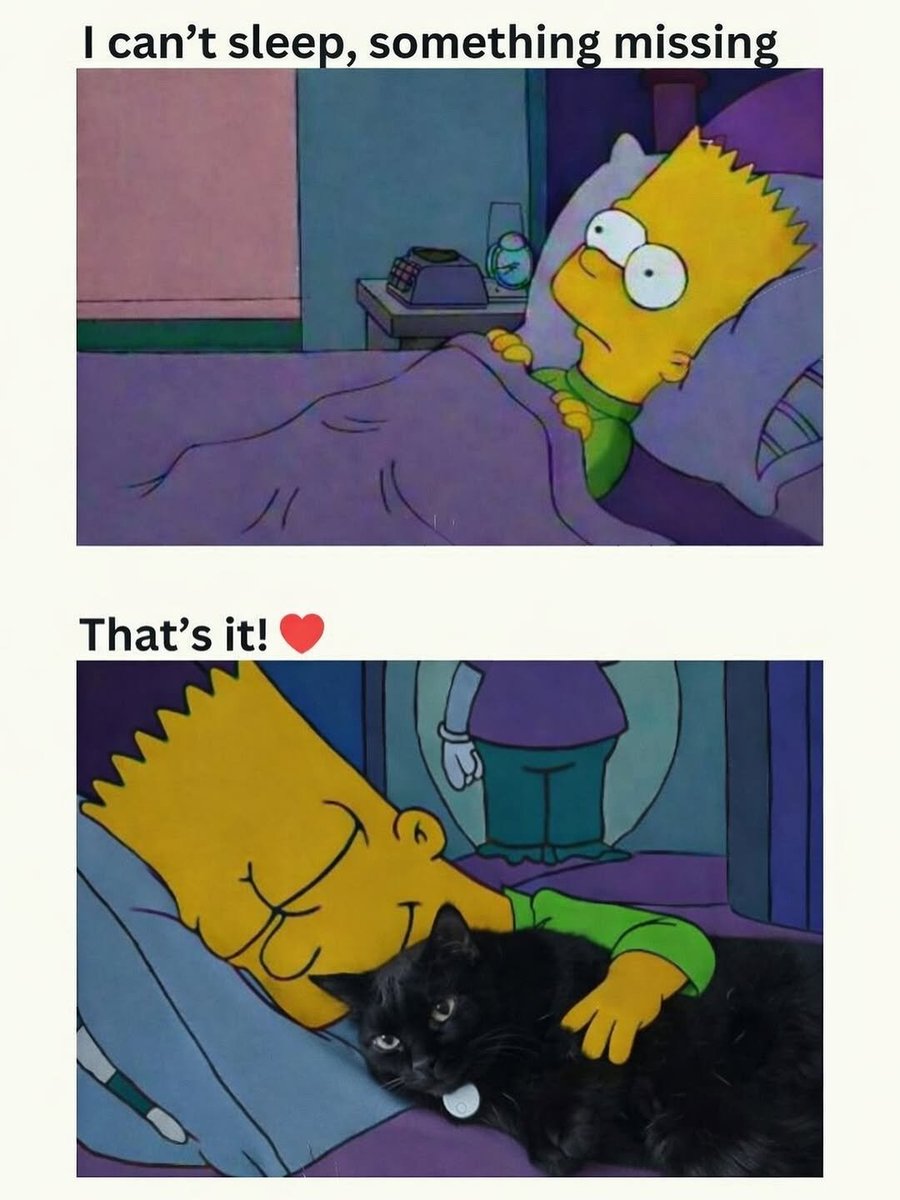 We don't deserve cats 😺 (@catsareblessing) on Twitter photo 