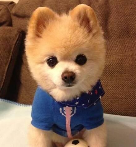 jingo166's tweet photo. @FlapXFun create $牛逼大了 https://t.co/c0l4laqoVz