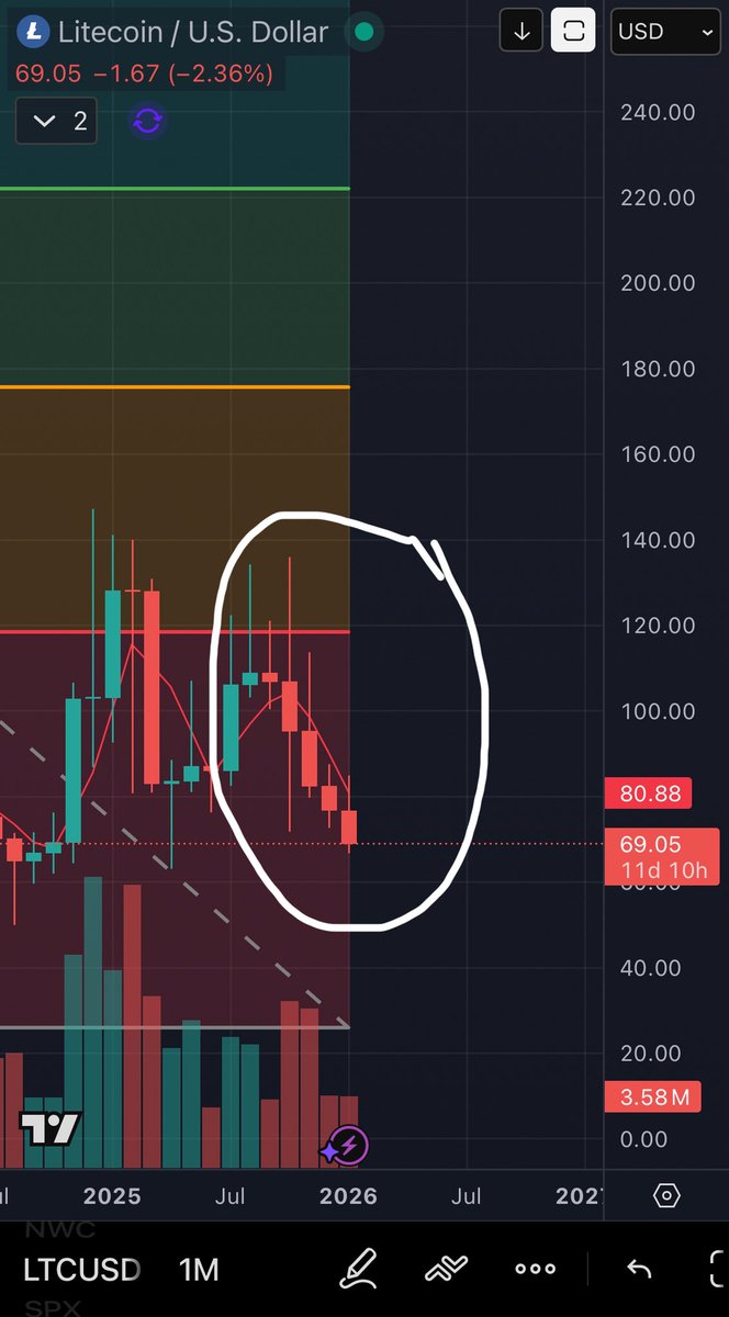 Carlos The Crypto CaterpillarⓂ️🕸 tweet media