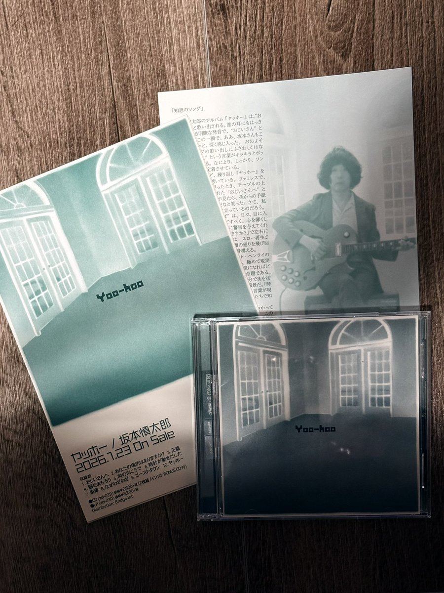 坂本慎太郎 ヤッホー フライヤー付き - Sakamoto アナログレコード