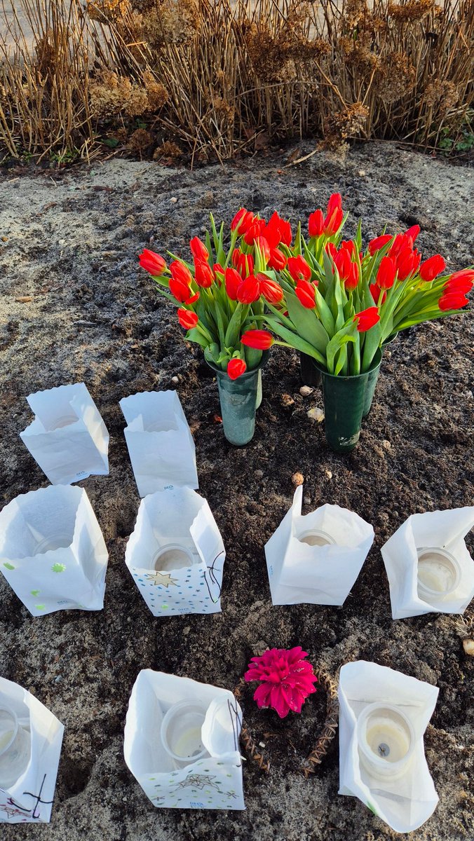 Elk jaar gaf ik mijn lieve moeder tulpen op haar verjaardag. Vandaag ook ❤️