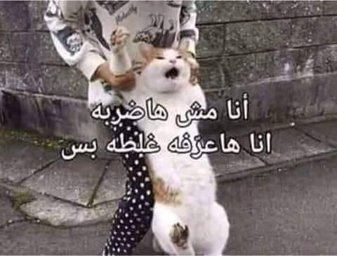 أنا حاولت، حاولت.