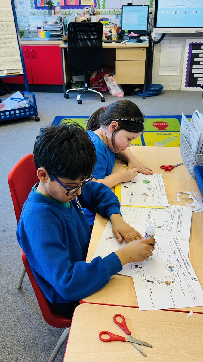 STOCSch's tweet image. St Therese class (2B) have been learning about the human life cycle in their Science lesson. Their objective was to identify, order and label the stages of a human life cycle! Amazing work! 💙💛 @stocsch @rcaoseducation #humanlifecycle 💙💛