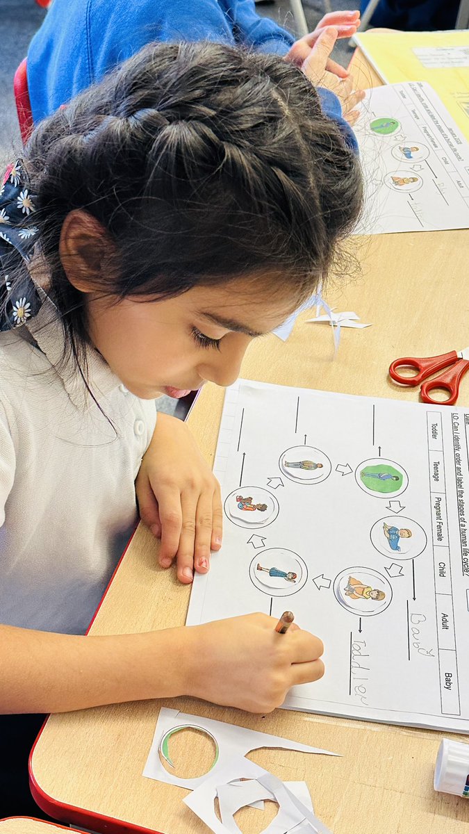 STOCSch's tweet image. St Therese class (2B) have been learning about the human life cycle in their Science lesson. Their objective was to identify, order and label the stages of a human life cycle! Amazing work! 💙💛 @stocsch @rcaoseducation #humanlifecycle 💙💛